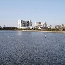 谷津干潟公園の干潟風景