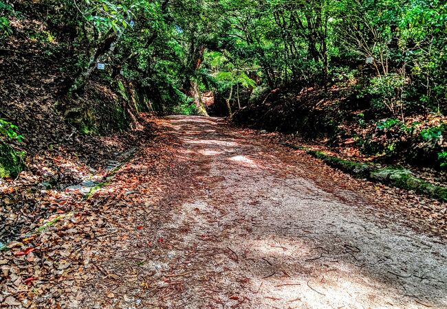 あせび歩道