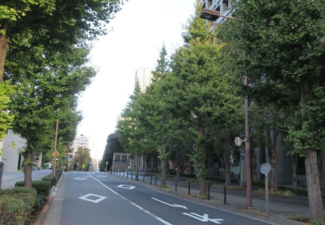 地下鉄の永田町駅からのアクセスも良いですし、道幅も広くてゆったりとした雰囲気でした。