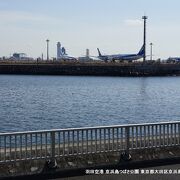 つばさ公園から羽田空港に離着陸する飛行機を眺めました