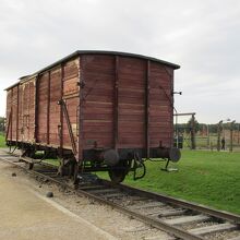 収容者はこのような貨車に乗せられてはここに送られて来ました。