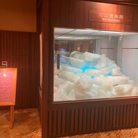 ミニ流氷とはセンスがいいです