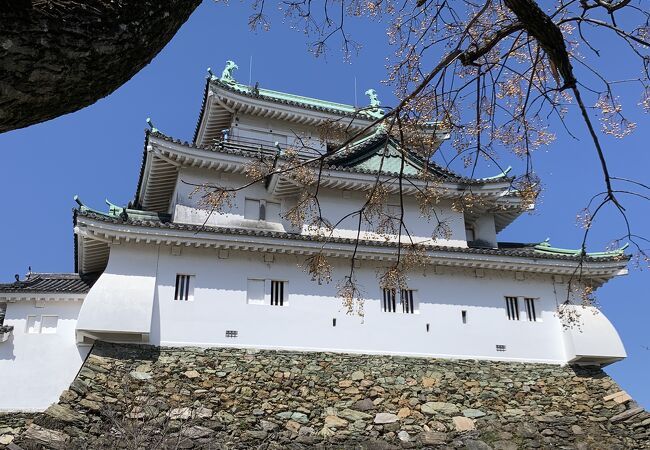 和歌山城公園