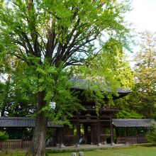 天祐寺