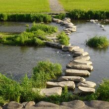 本明川 飛び石