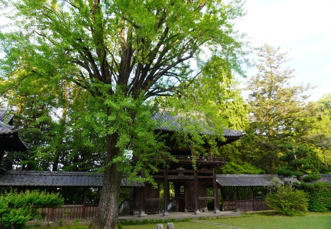 諫早家の菩提寺