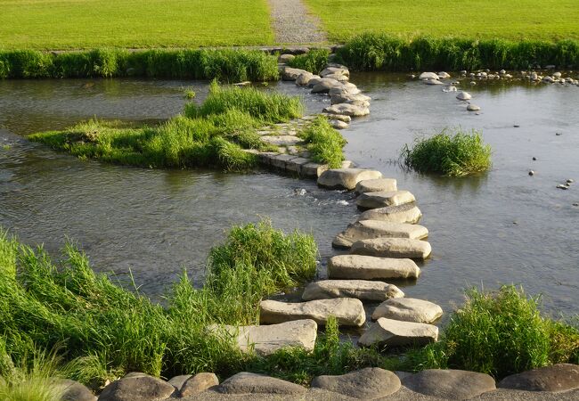 本明川 飛び石