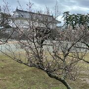 梅の花と銅門