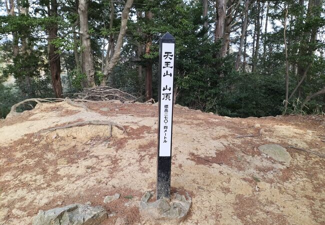 天王山近くにはサントリー山もあります