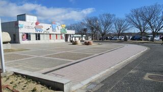 お弁当持参で一日中楽しめちゃうわ