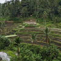 部屋からの景色