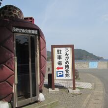 大浜海岸とうみがめ博物館