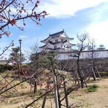 尼崎城址公園