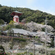 薬王寺(徳島県美波町)