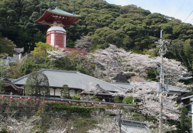 薬王寺(徳島県美波町)