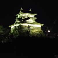 丸岡城夜景