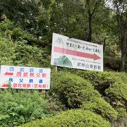 武甲山についての資料を展示