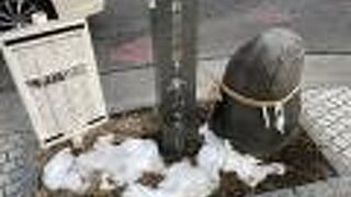 しめ縄の巻かれた不思議な石