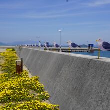 カモメの駐車場