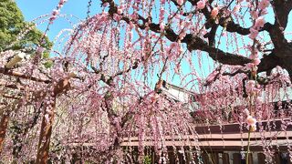 結城神社