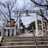 梅の花が咲いていた