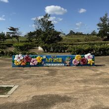 伊江島ハイビスカス園、写真コーナーとタッチュー。