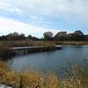 県立羽生水郷公園