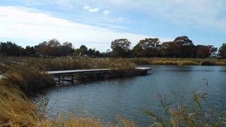 県立羽生水郷公園