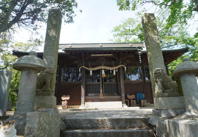 豊玉姫神社