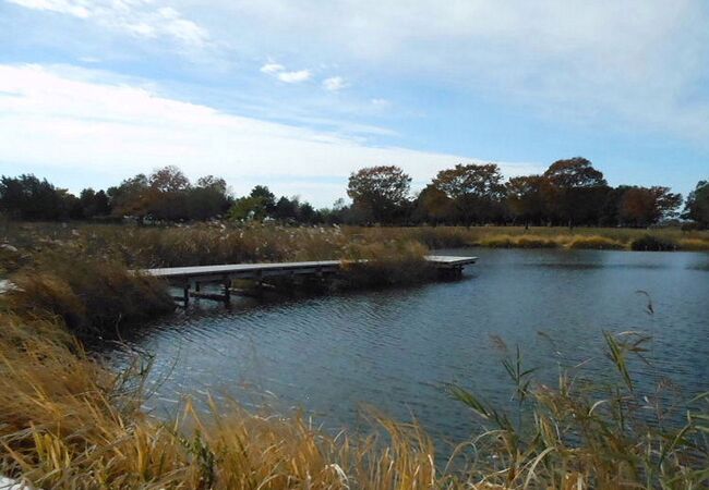 県立羽生水郷公園