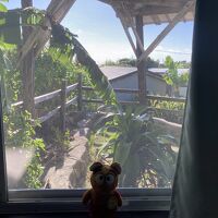 宿泊したガジュマルルームの窓から・遠くに海が見えます