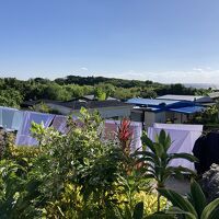 ロッジの敷地を、ガジュマルルームから見たときの写真です