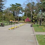 青島のそばにある亜熱帯植物園