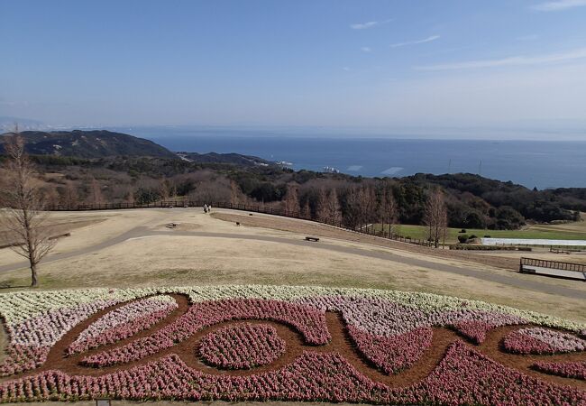 天空の花畑