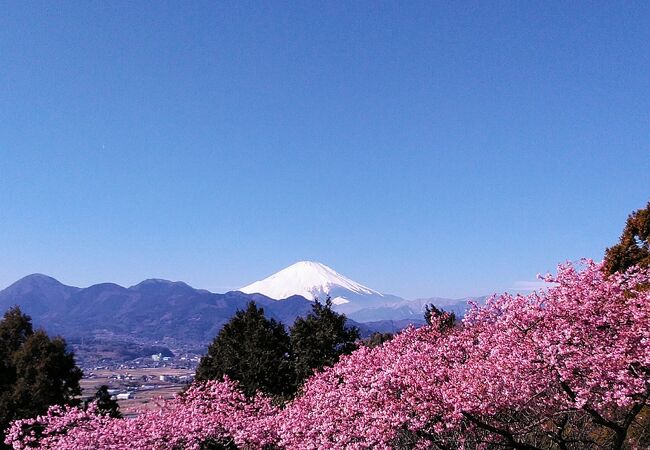 関東の富士見百景に選定されてる西平畑公園