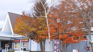 スキー場ですが紅葉の時期はゴンドラで紅葉鑑賞