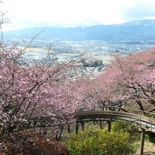 西平畑公園