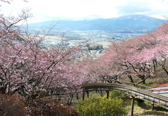 西平畑公園