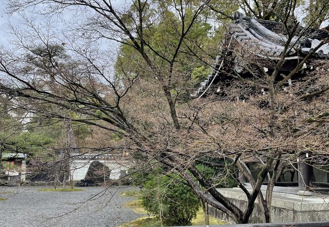紫式部ゆかりと言う事で
