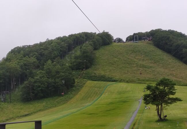 夏でも楽しめます