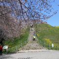 さきたま古墳公園、サクラなら丸墓山古墳