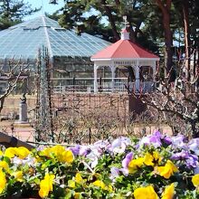 敷島公園ばら園