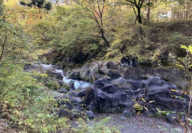 鳴虫山ハイキングの帰りに立ち寄りました