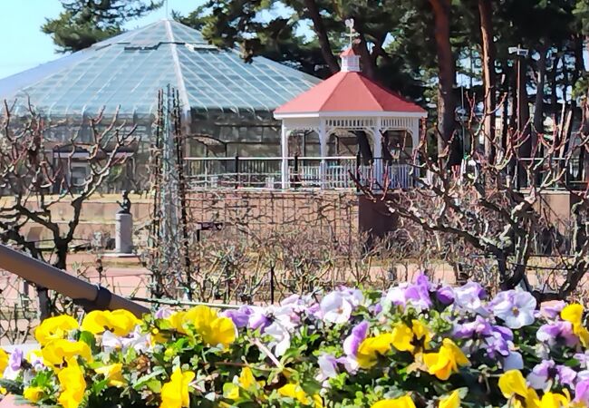 敷島公園ばら園