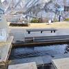 寒い中、温泉の足湯に浸けながら景色を眺めたり、体の疲れも取れて一石二鳥です