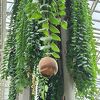 植物に癒される時間