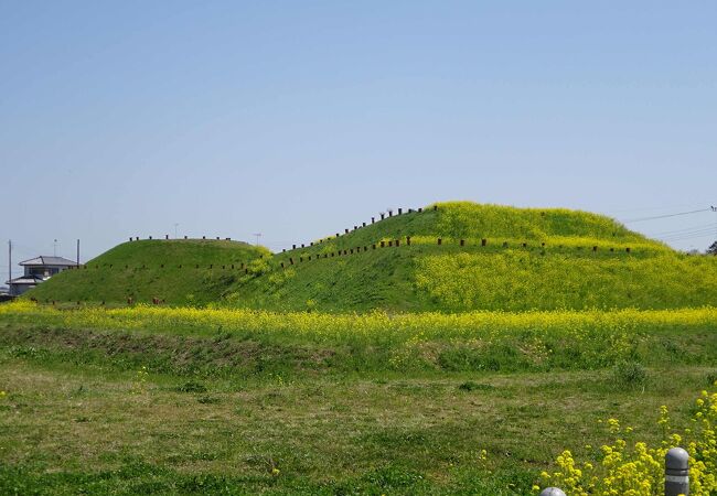 さきたま古墳公園、将軍山古墳展示館、駐車場が近く。