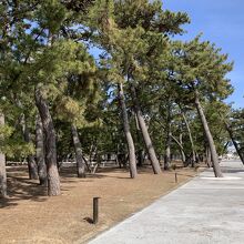 須磨海浜公園の中にあります。