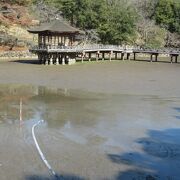 池のお水が少なかったのよ