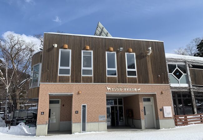 人気があります